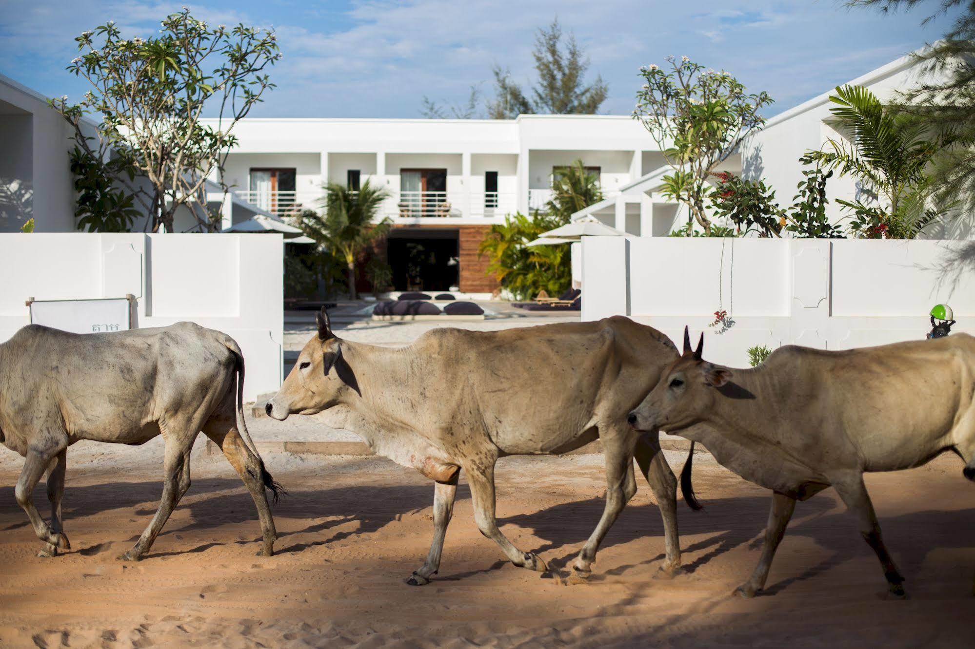 Tamu Otres Hotel Sihanoukville Exterior photo